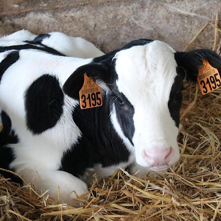 Le Thuit - F2 Plain Pied Tout Equipe A La Ferme Charleval  외부 사진