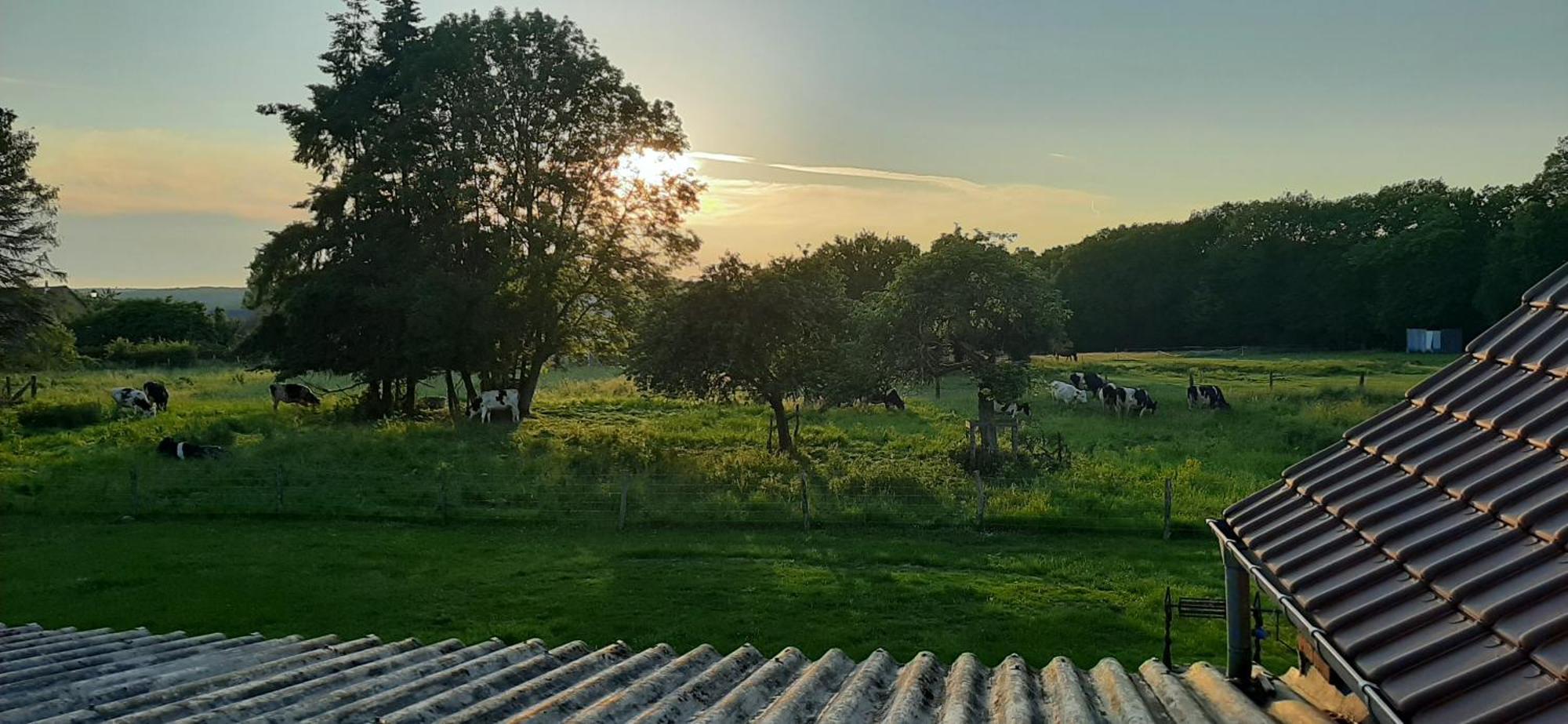 Le Thuit - F2 Plain Pied Tout Equipe A La Ferme Charleval  외부 사진